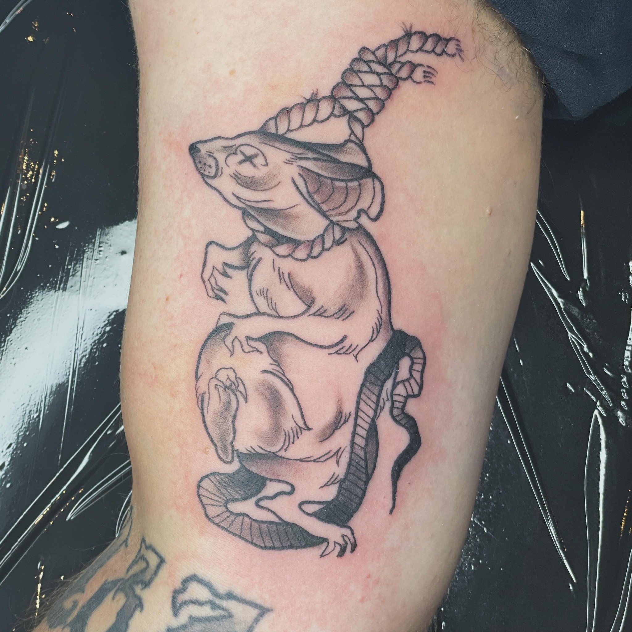 🧀🐀
.
.
.
.
.
As always, thanks for looking. Link in bio to book