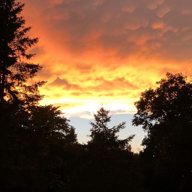 Crazy beautiful!

#onlyinmn #nofilterneeded