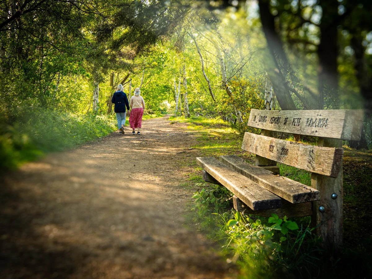 Is Photography Facing a Crisis?