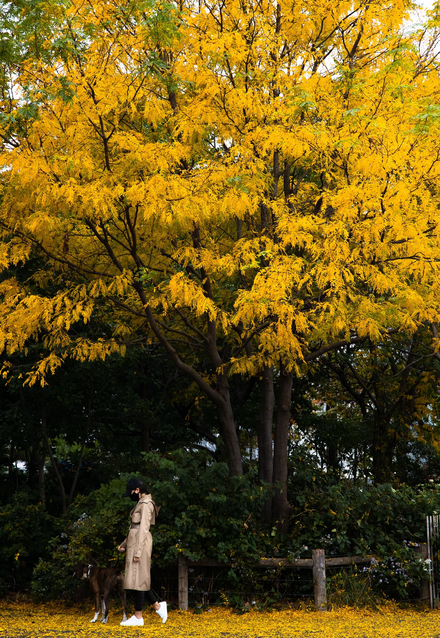 3X7A8632-2.jpg