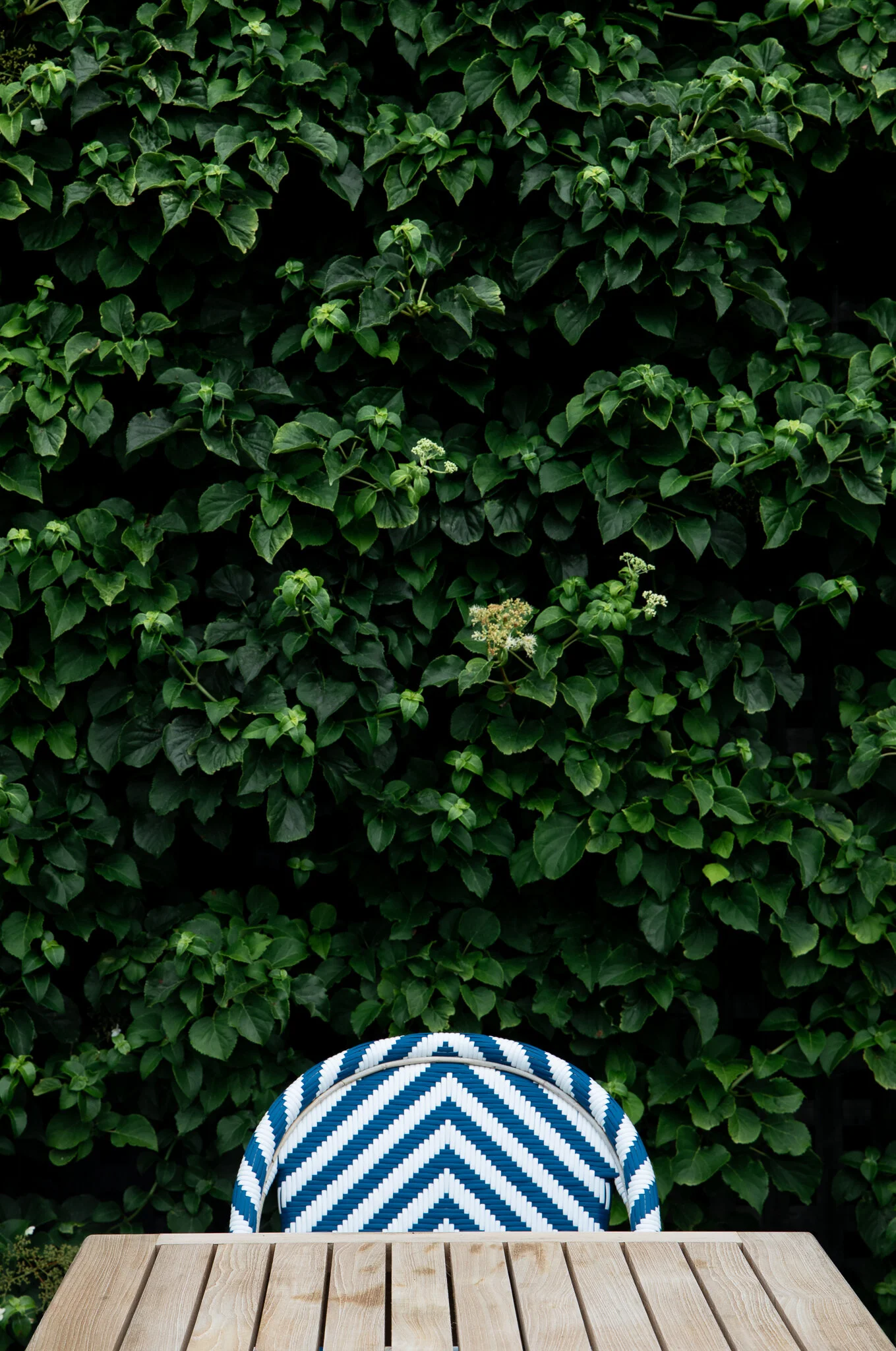 3X7A6112.jpg