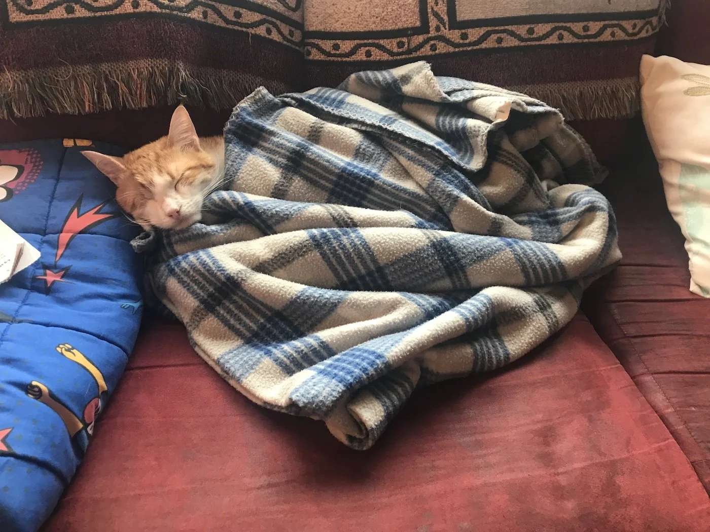 Spice in a Blanket NO. 2.jpg