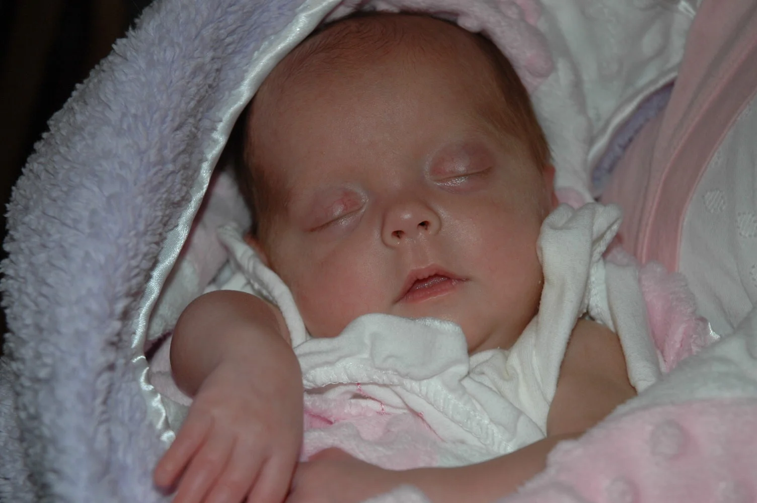 mille - DSC_7167.JPG