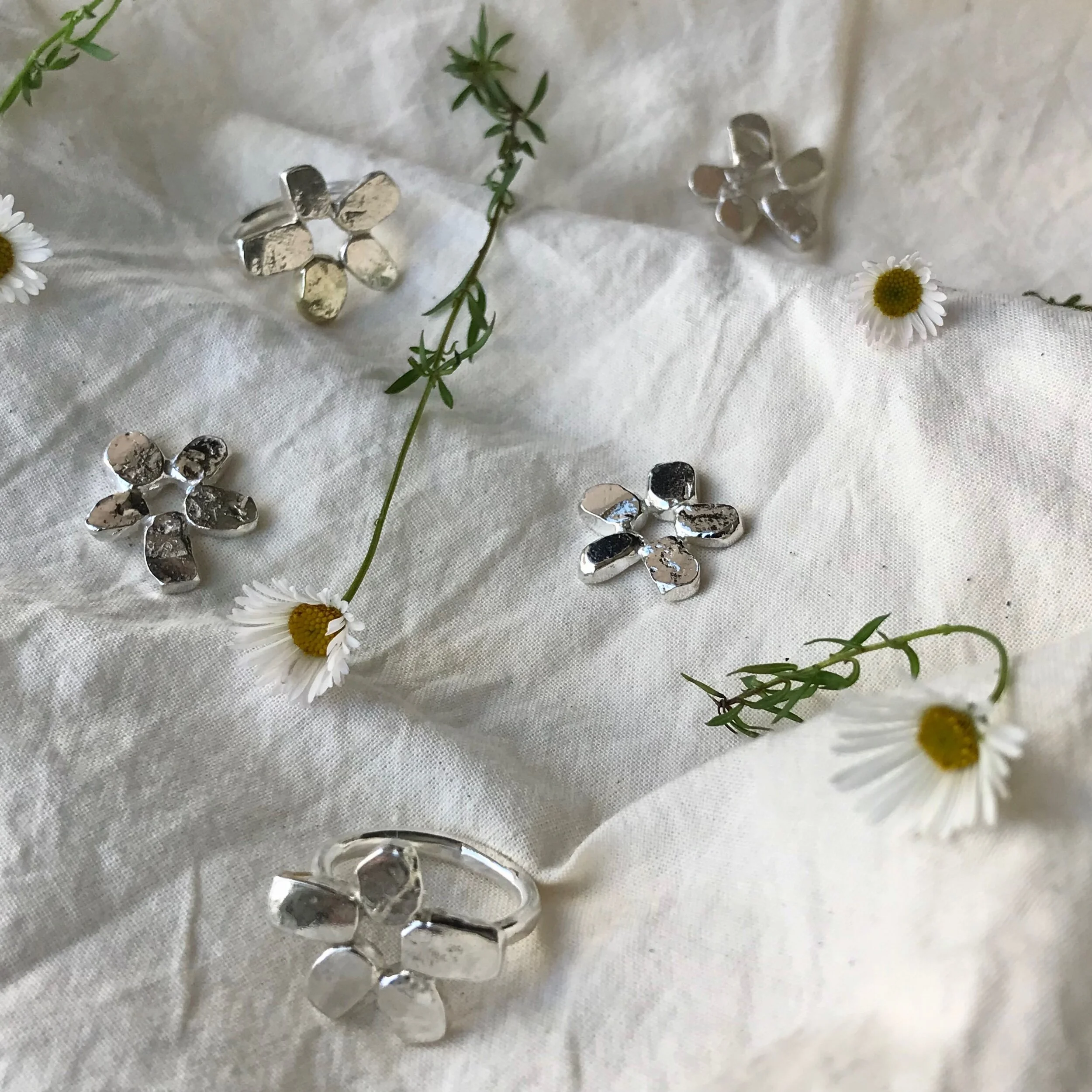 246403F3-82B5-4F6B-8D8B-646E099F4525