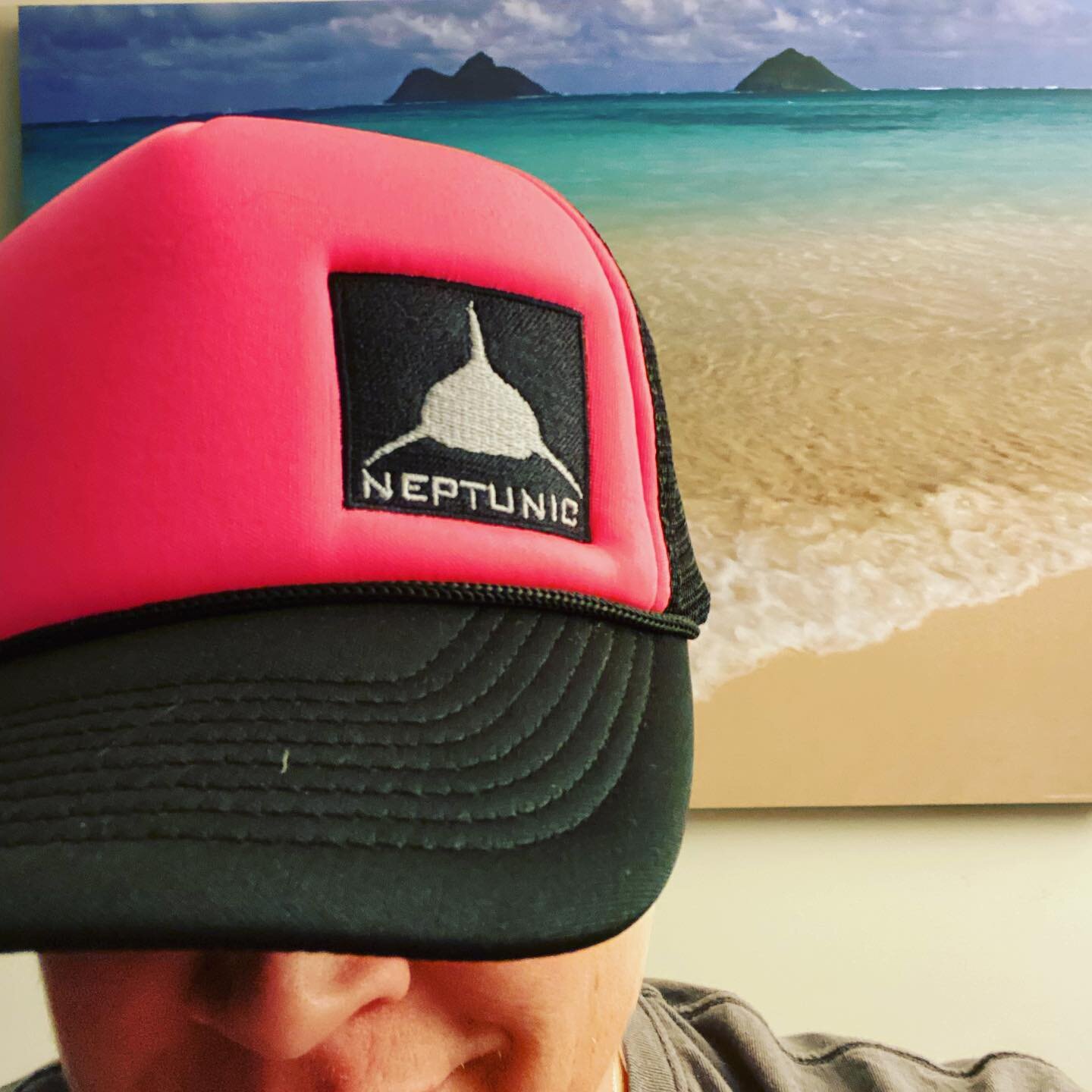 My absolute favorite week of the year! 🦈🦭 #sharkweek #thankyou #discoverychannel #summertime #neptunic #fisharefriends