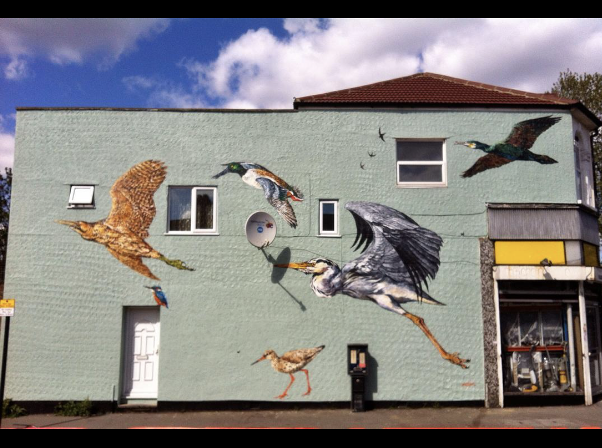 There are seven species of bird on the wall