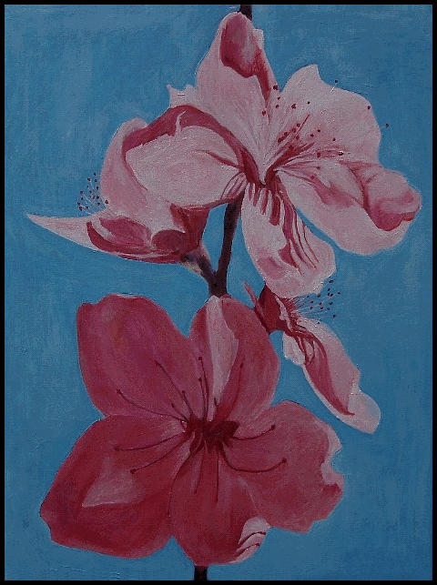 Blossoms