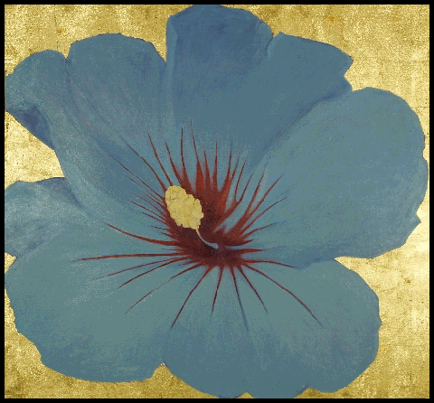 Blue Hibiscus