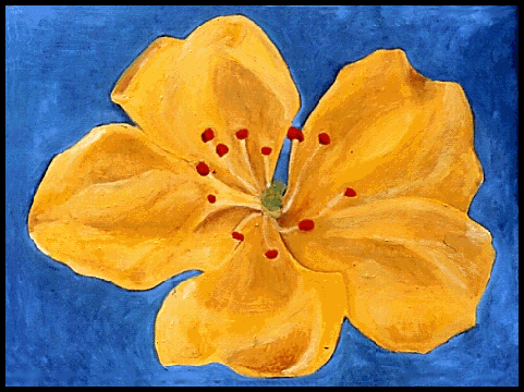 Yellow Flower