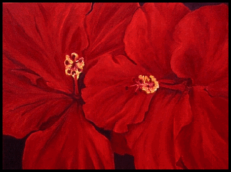 Red Hibiscus.gif