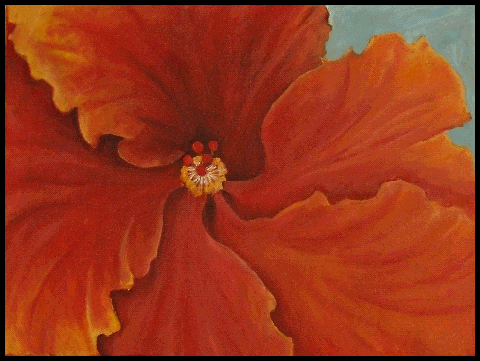 Hibiscus.gif