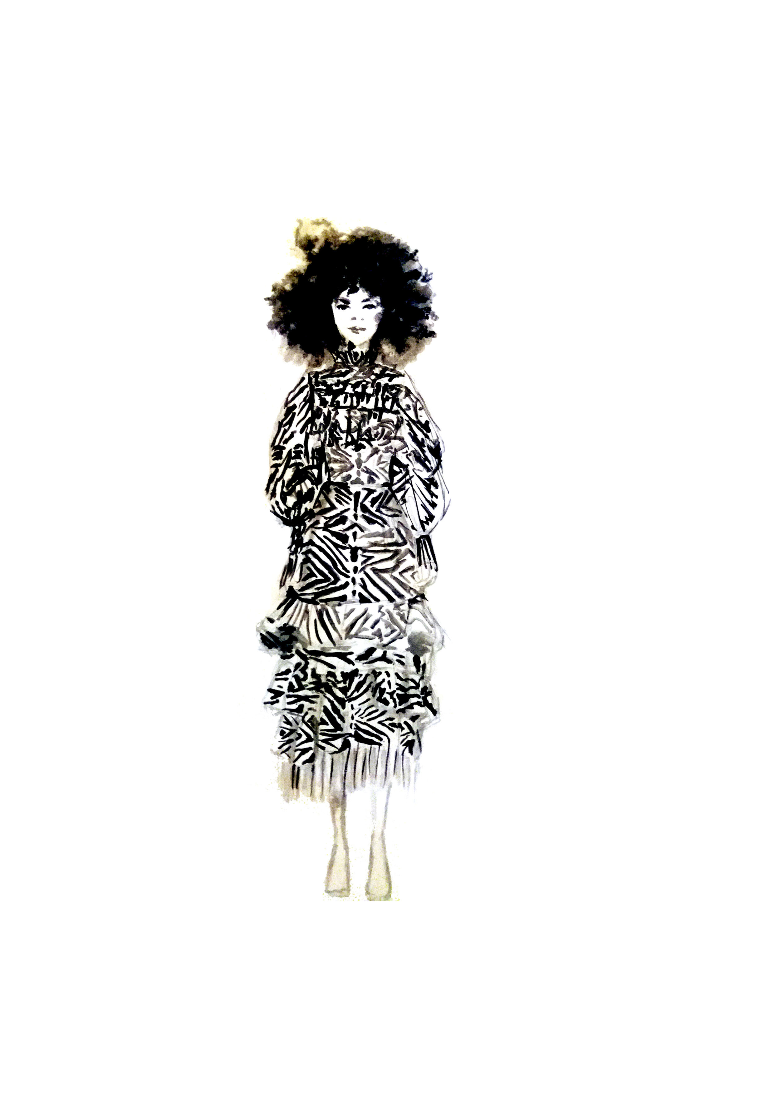Zebra Dress.jpg