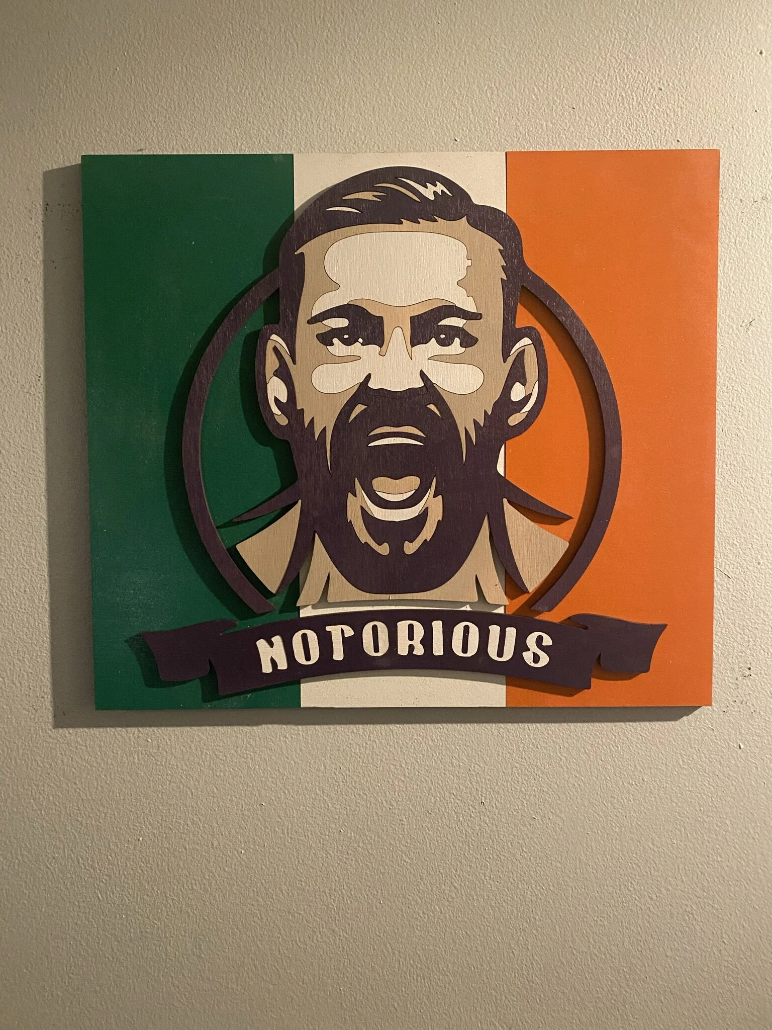 Conor McGregor 'Notorious' Wall Art