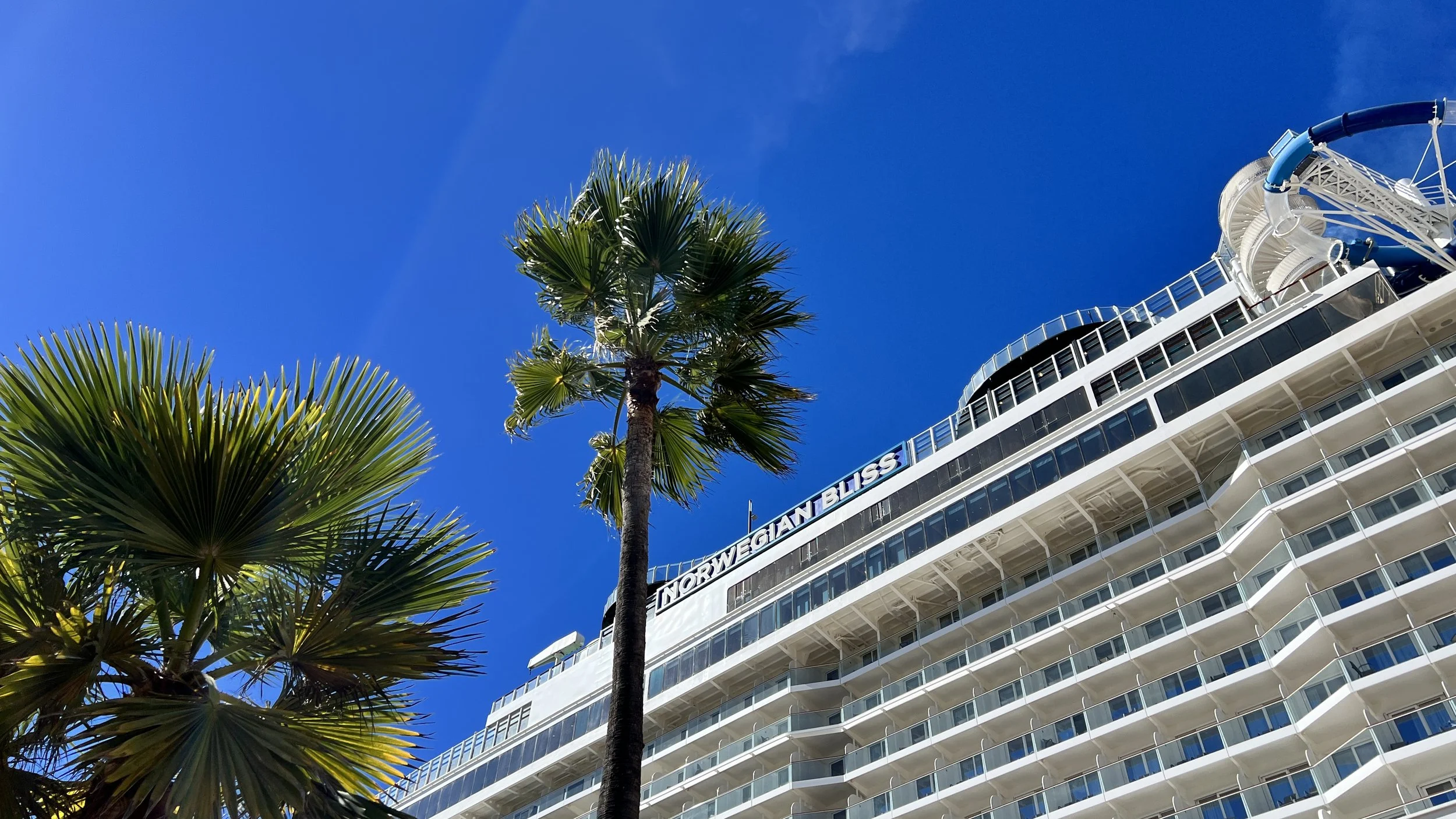 NCL+Bliss
