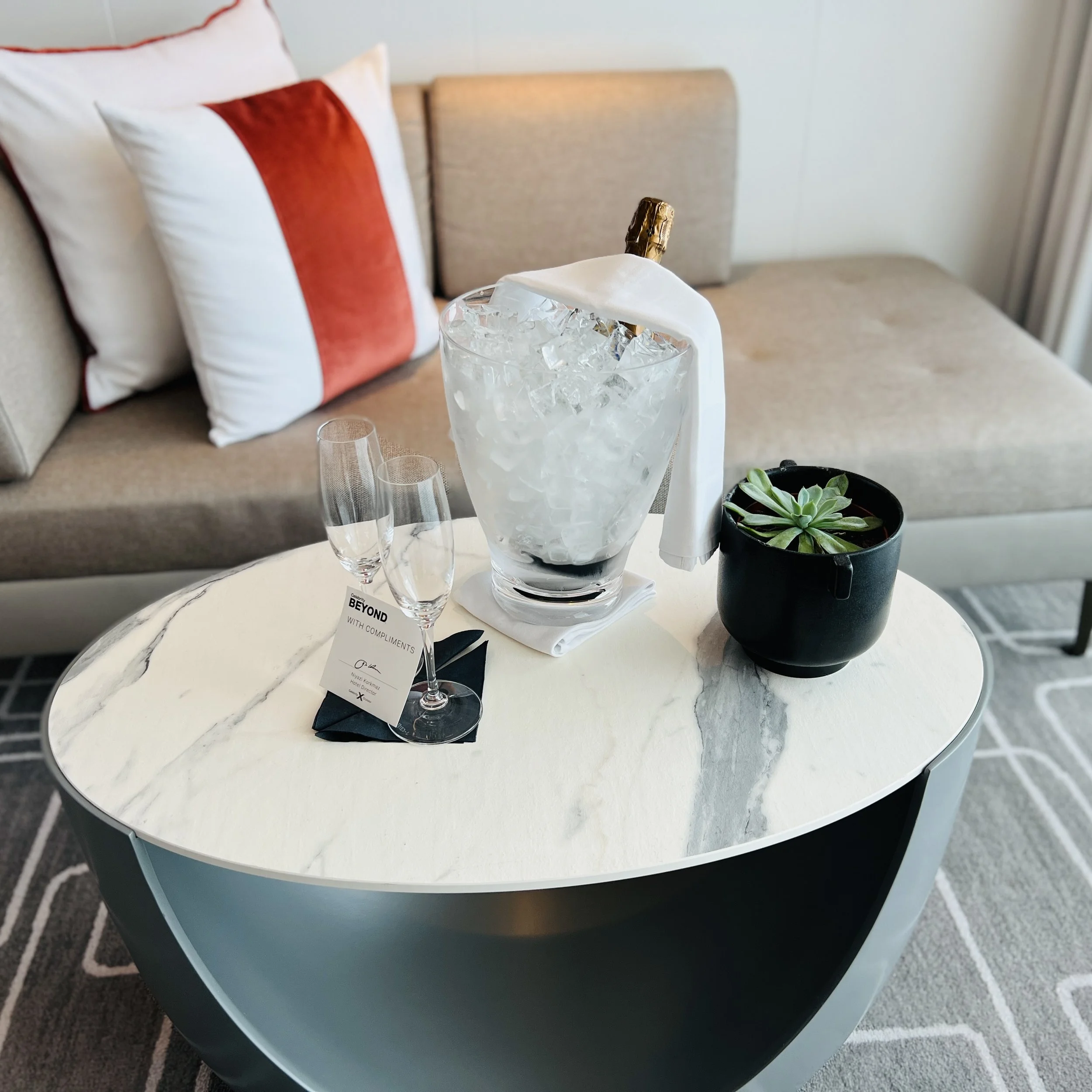 A close-up view of the coffee table with the bottle of chilled champagne, champagne glasses, a note, and a small potted plant.