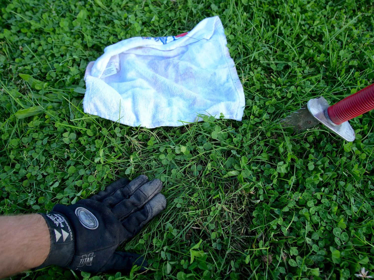 Cut The Perfect Plug When Digging — Metal Detecting Life