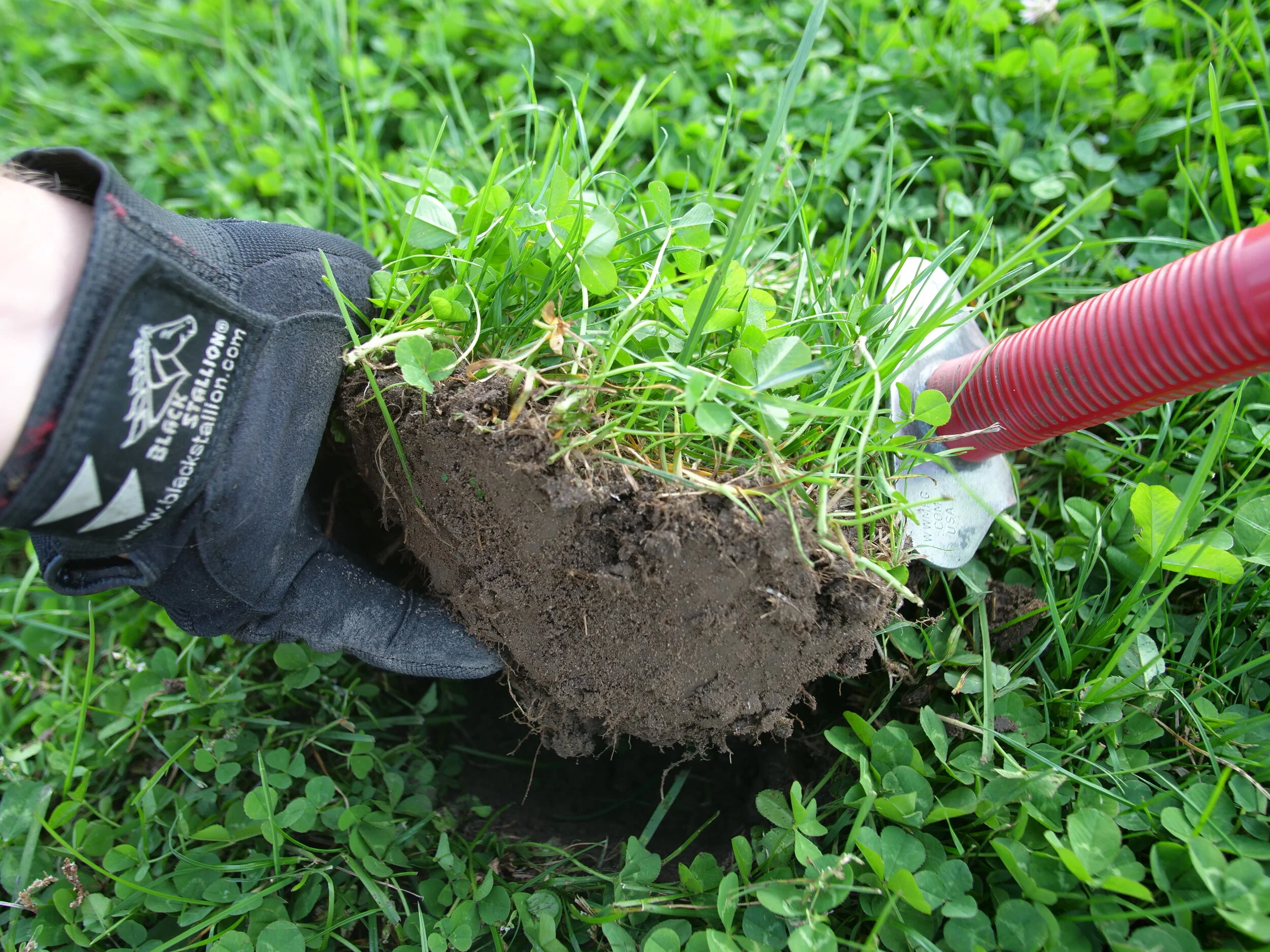 Metal Detecting - Cut The Perfect Plug While Digging