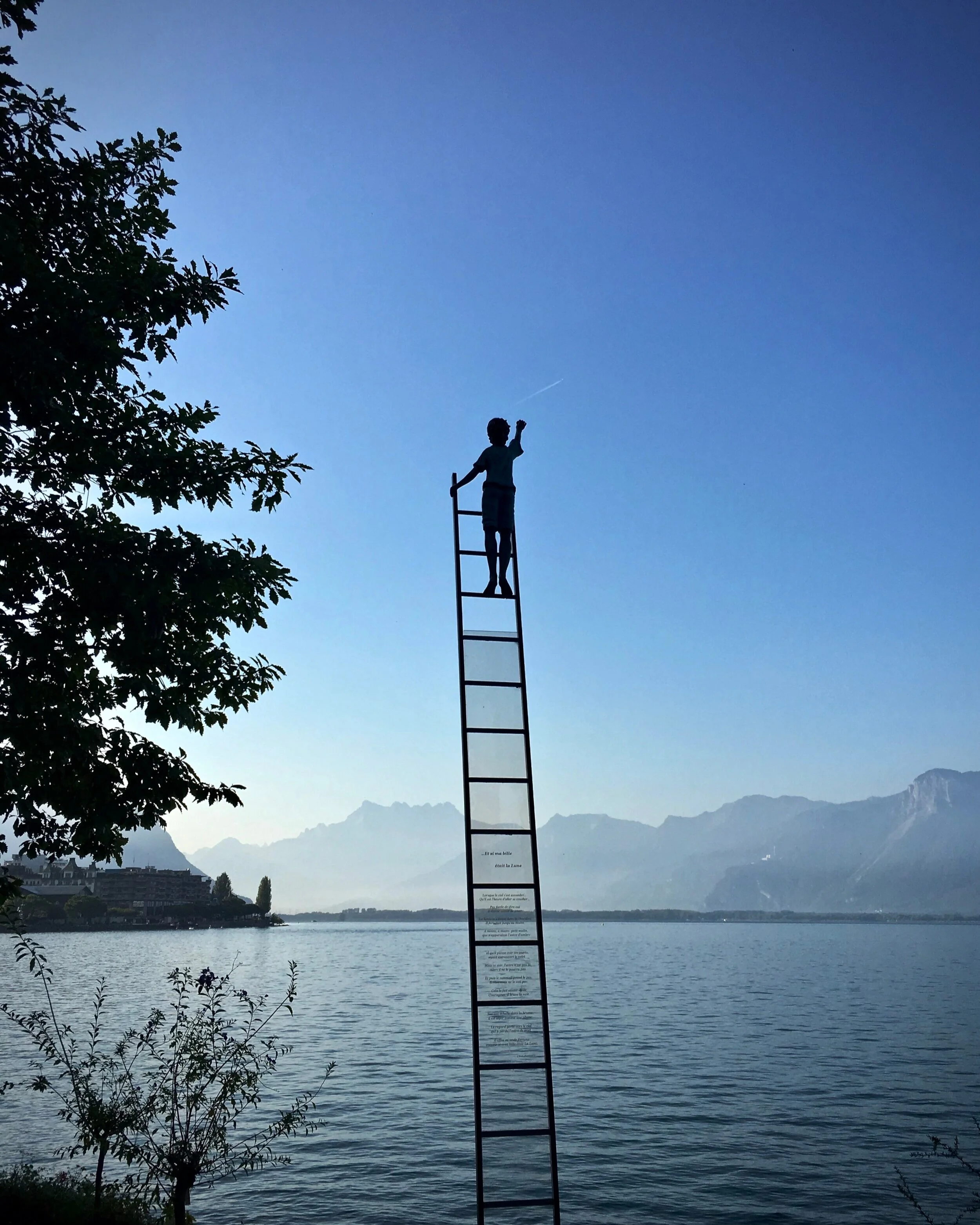 15 Stages in the Life of a Novice Detectorist