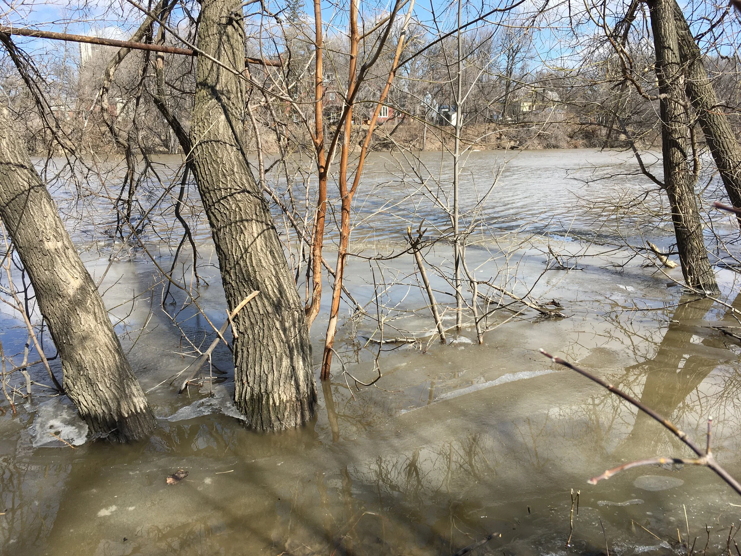 Staying Upright in a Flood