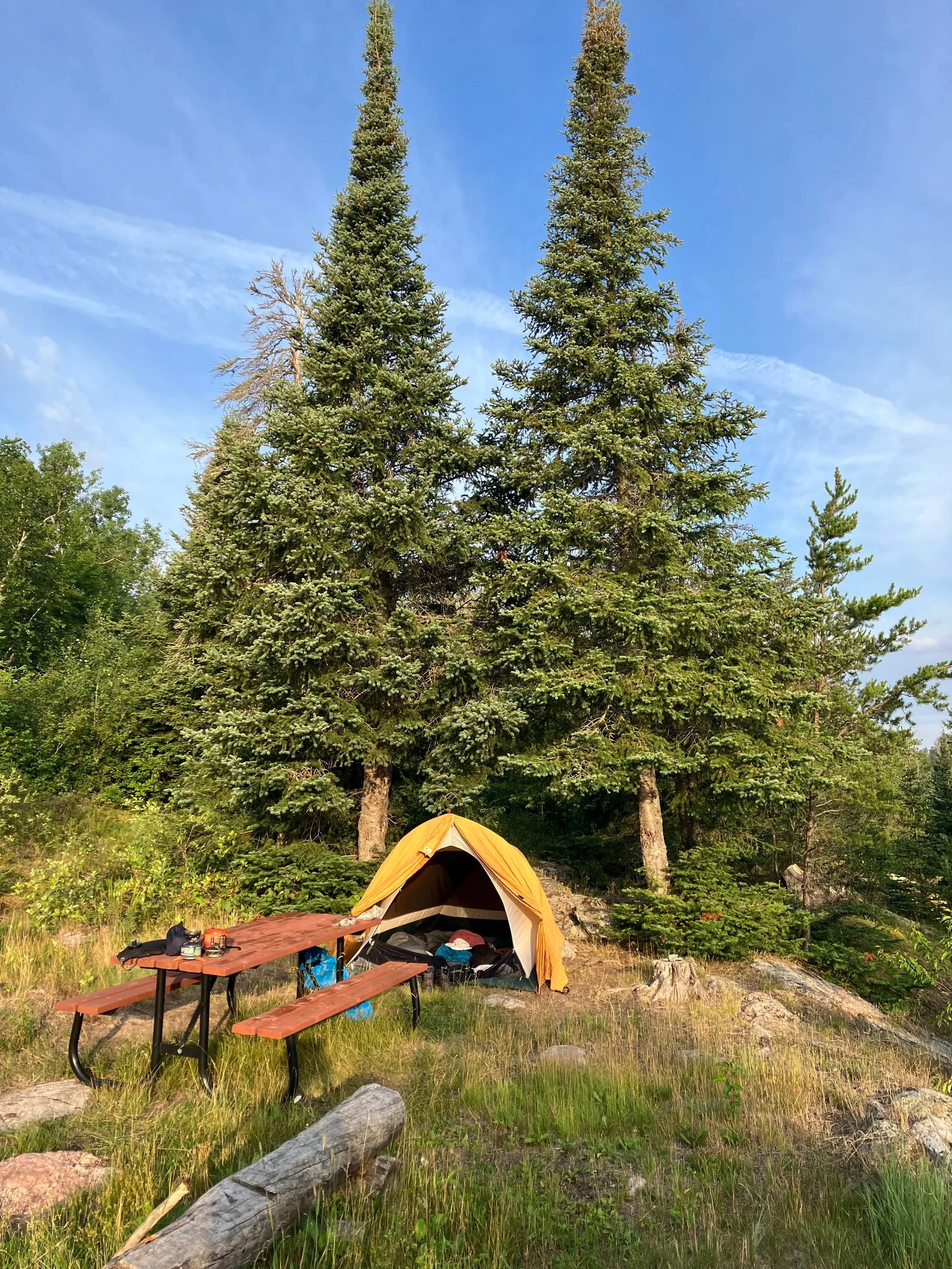 Serving All Beings With Joy and Wise Effort