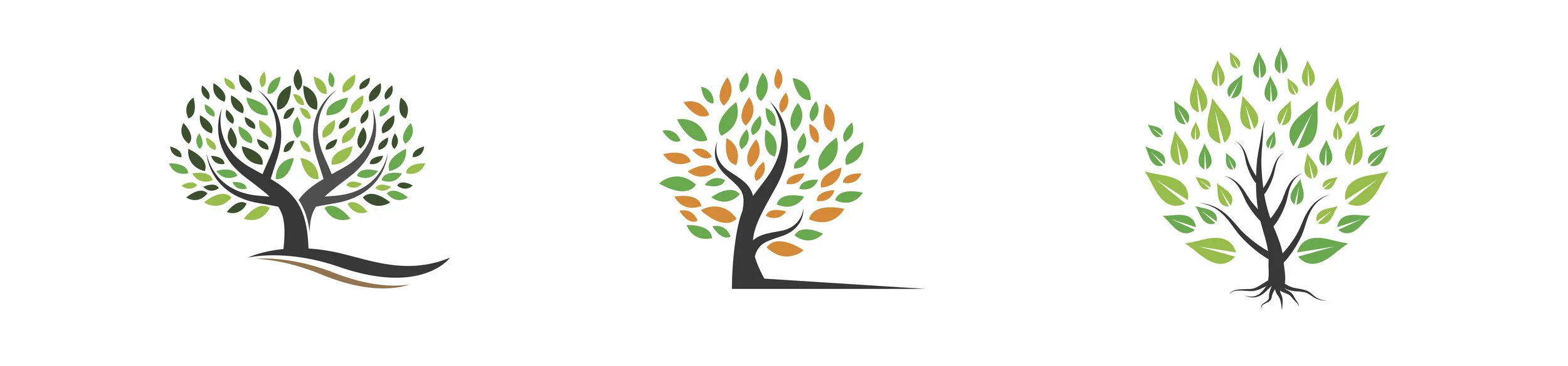 shutterstock_1526108144 2 2.jpg