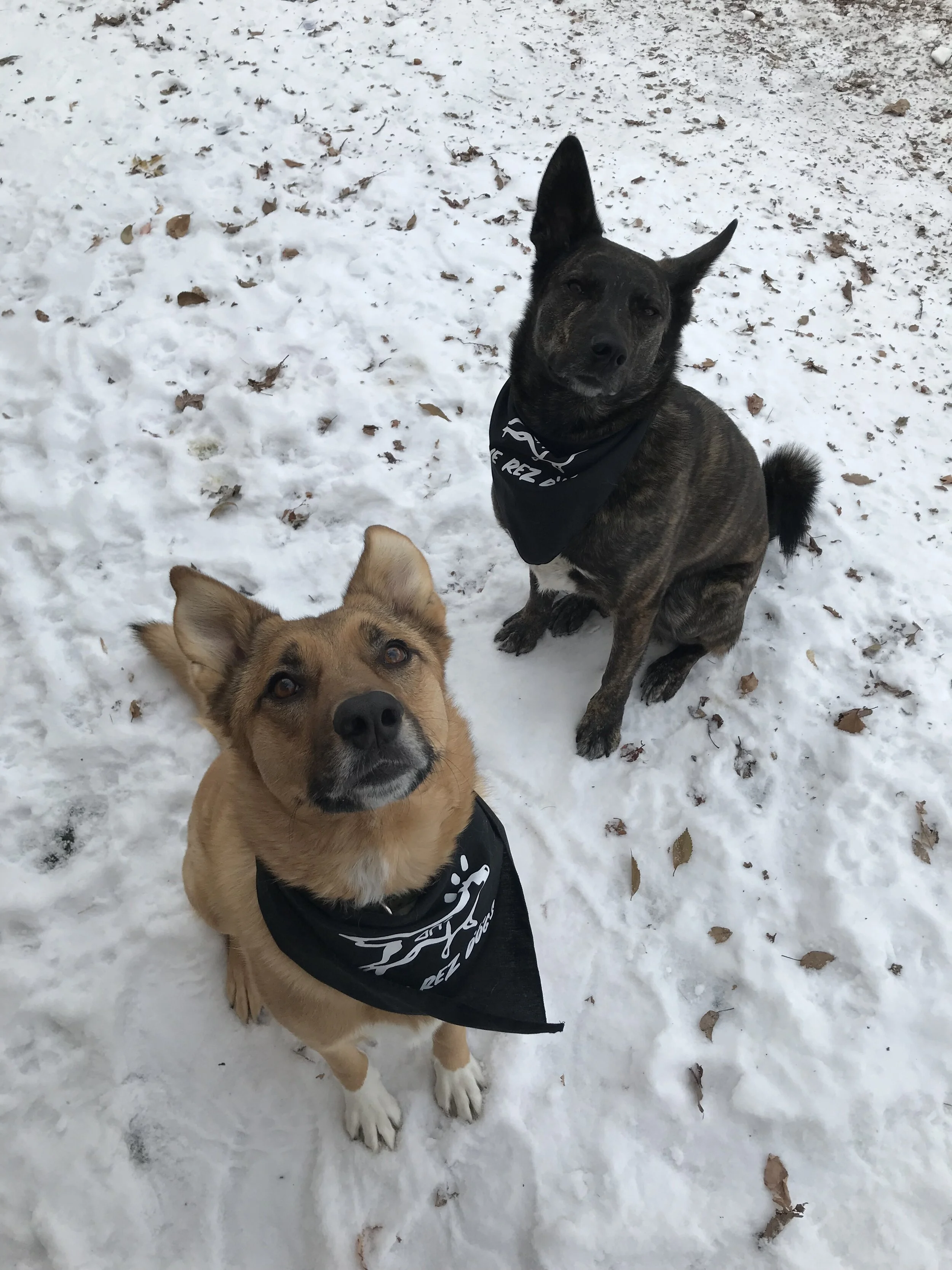 37F9BB08-44E7-40DA-9248-D0D7FB50C499