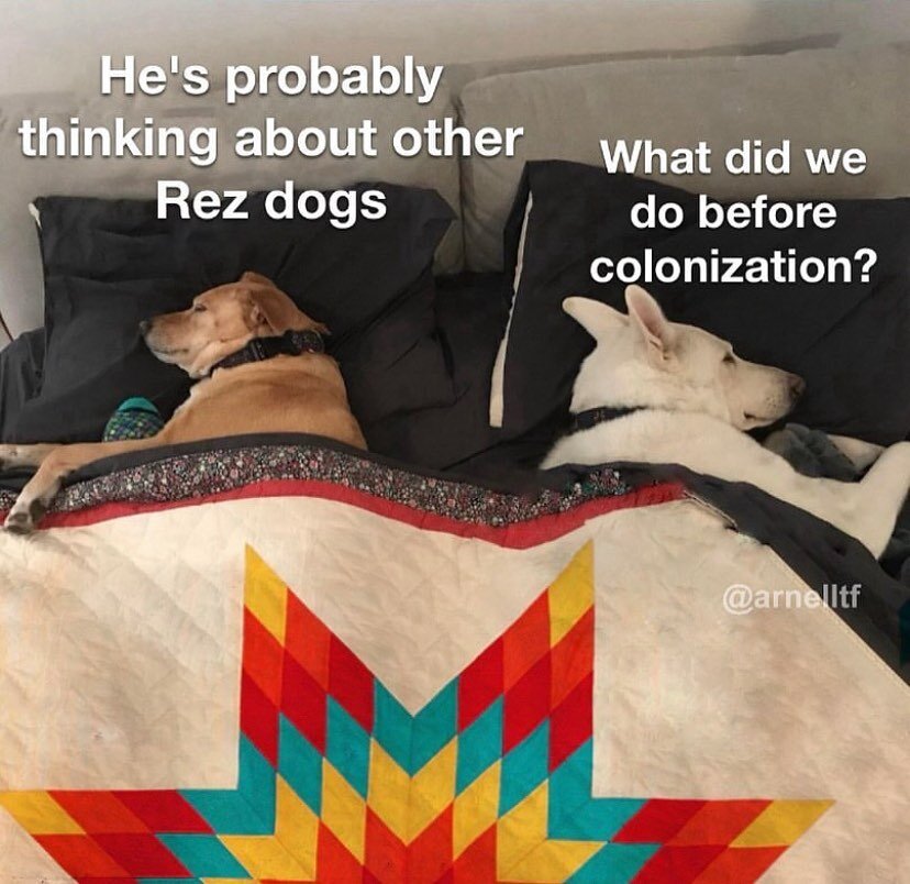 We&rsquo;re thinking the same things too! 😆🐾
Shout out to the meme uncle @arnell_tf for this gem. ✊🏽💎
Also shout out to all the rez dog homies. 🐾🤎 Take care of your pups!

www.saverezdogs.com 

#saverezdogs #loverezdogs #rezdogs