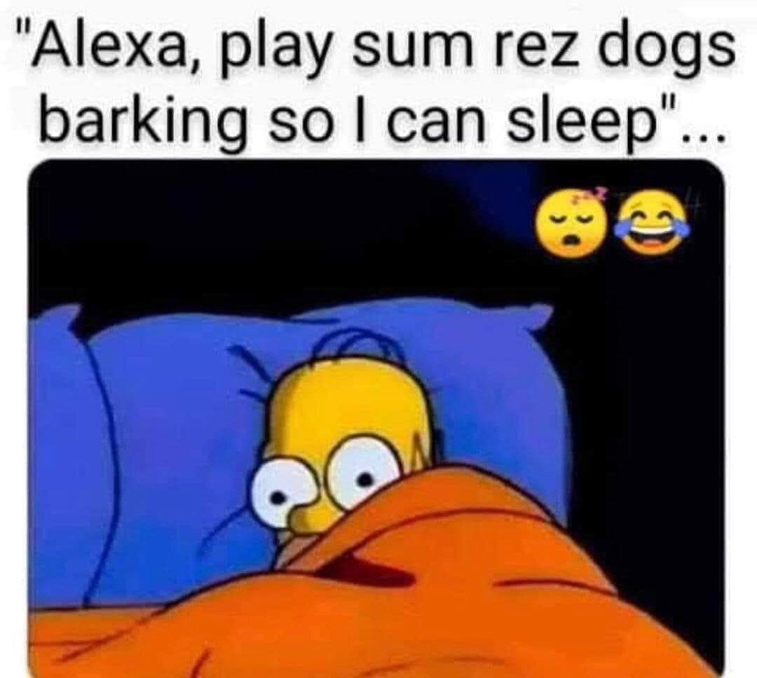 Letting my rez dogs bark because they&rsquo;re keeping me safe. 🐶🐾🤎 
 
Fb repost @traditionalnativegames 

#saverezdogs #loverezdogs #rezdogs #sweetdreams