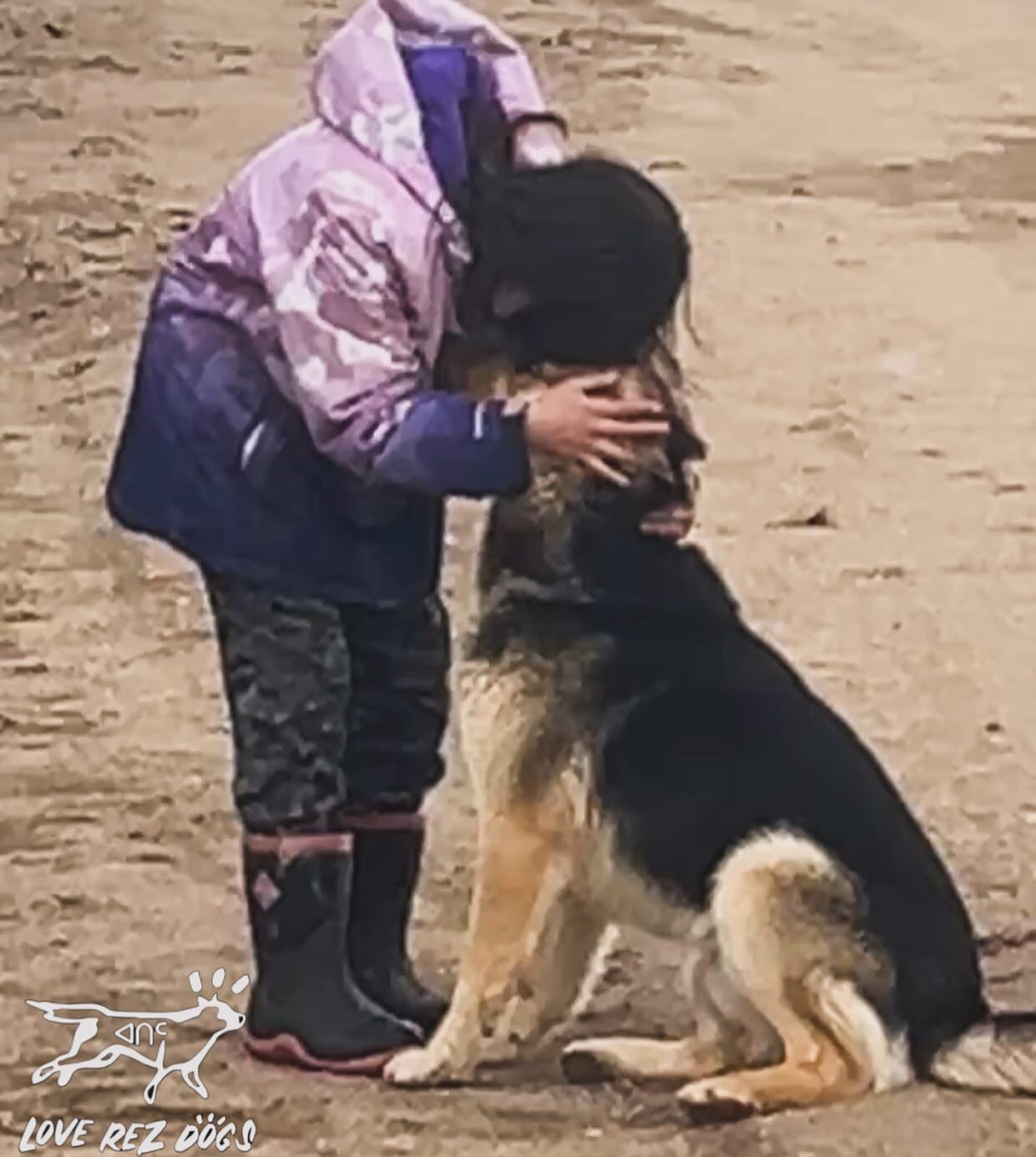 Nothing like witnessing pure love between a little girl and her dog! 🤎🐶🐾 Sākihitowak in nehiyawak translates to, &ldquo;they love one another.&rdquo; 
A beautiful moment frozen in time at a Ochap senior hockey game. Sent to me by a friend. 
*We wo