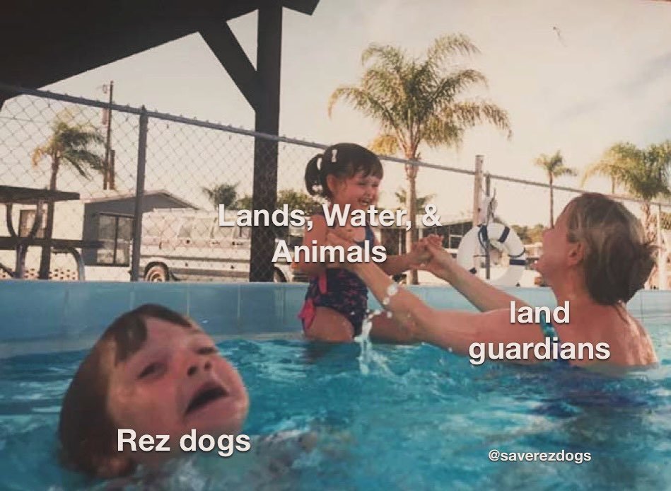 🌏 #Earthday reminder: If you&rsquo;re advocating for lands, water, and wildlife, don&rsquo;t forget about the rez dogs! They&rsquo;re part of the ecosystem too. 🤎🐾🐶
&bull;
&bull;
By standing up for rez dogs, we&rsquo;re not only showing compassio