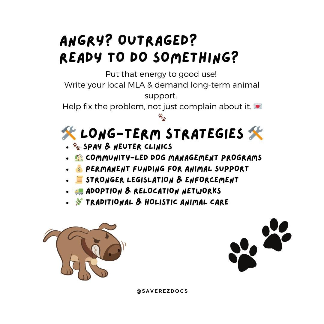 🐾 SAVE REZ DOGS: REAL SOLUTIONS, REAL ACTION 🐾

Rez dogs deserve long-term, sustainable care&mdash;not just temporary fixes. Here&rsquo;s how we can make a lasting impact:

&bull; Spay &amp; Neuter Clinics &ndash; Mobile, low-cost, and accessible.
