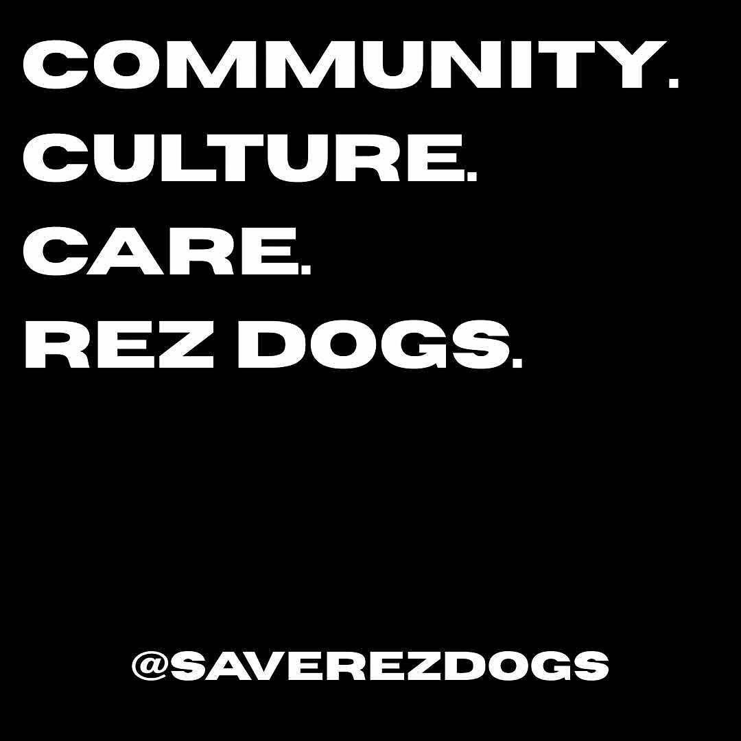 We love our dogs. We love our communities.
That love is resistance, it&rsquo;s sovereignty, and it&rsquo;s Indigenous history in motion. 🤎🐾
Indigenous-led animal welfare prioritizes community, consent, and culture.  It&rsquo;s not about ego or foll