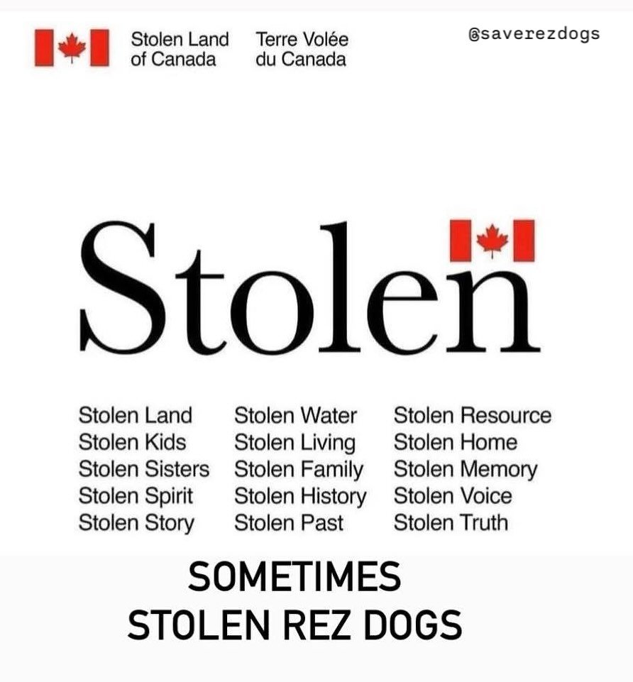 A UBC study found the more patriotic someone is, the less they know about this country&rsquo;s actual history. That tracks. Because if you knew&hellip;
You&rsquo;d understand that Indigenous history is Canadian history.
And this isn&rsquo;t a day of 
