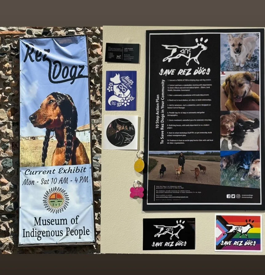 SAVE REZ DOGS IN A MUSEUM?! 🤎🌵 
Yup. From the rez to the walls of the Museum of Indigenous People in Prescott, Arizona, Save Rez Dogs is part of the Rez Dogz exhibit, honouring the beauty, struggle, and truth of our four-legged relatives.

🪶 Deep 