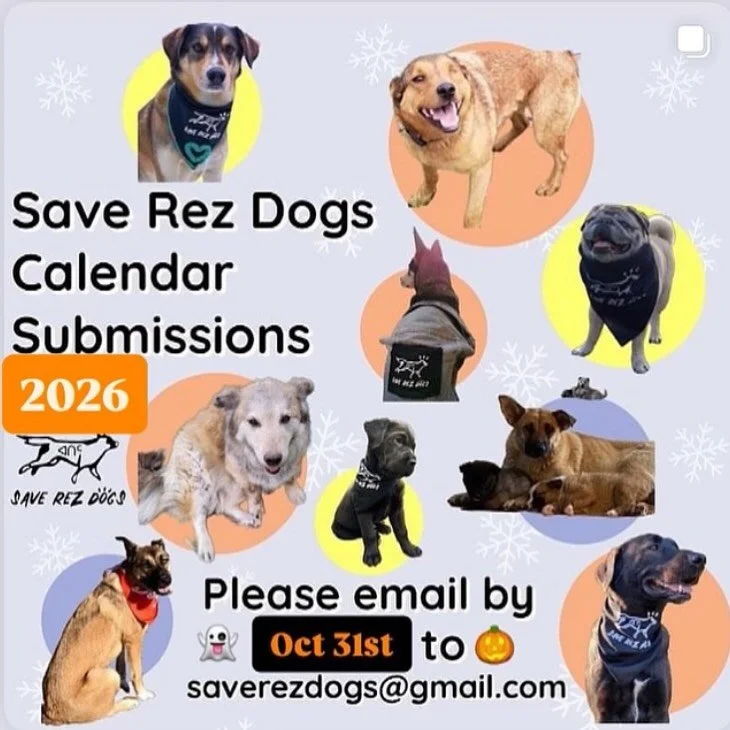📣 CALENDAR SUBMISSIONS DUE OCTOBER 31st! 🐕🐾🎃🗓 This is our 6th calendar! 

&bull; Please EMAIL us pics of your rez pups in our swag! 🙏🏽
&bull; Include rez dog&rsquo;s name &amp; fun facts!
&bull; saverezdogs@gmail.com

#saverezdogs #loverezdogs