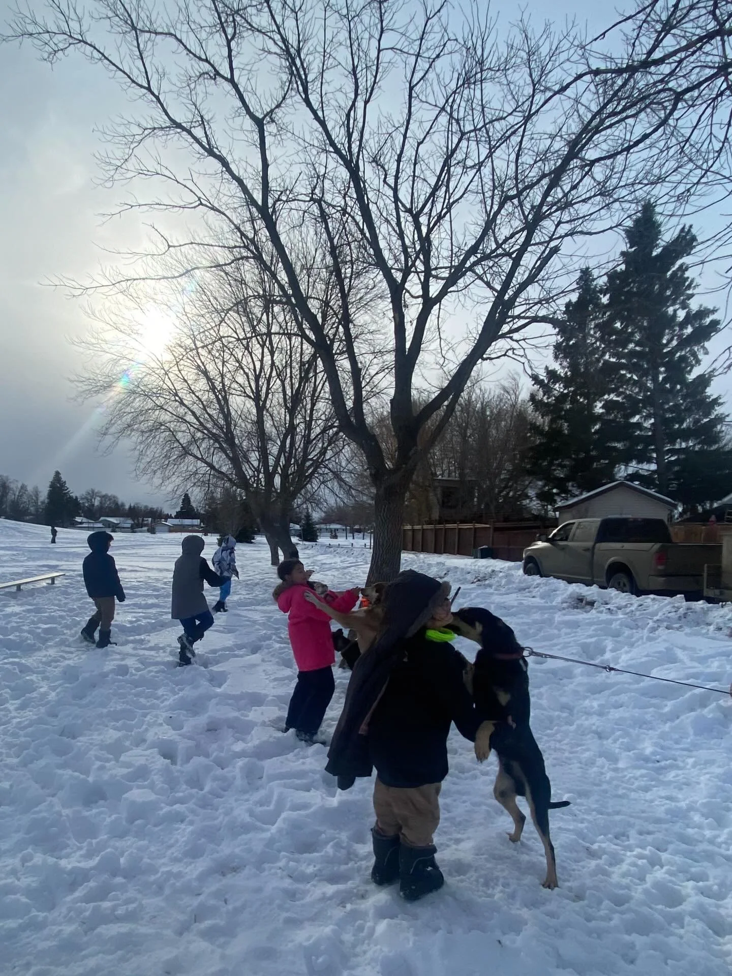 Watching kids light up around the dogs never gets old. 🤎
In this case, seeing urban First Nations children light right up with the friendly sled dogs was the best. 

Despite the racism and challenges our communities face, there&rsquo;s so much beaut