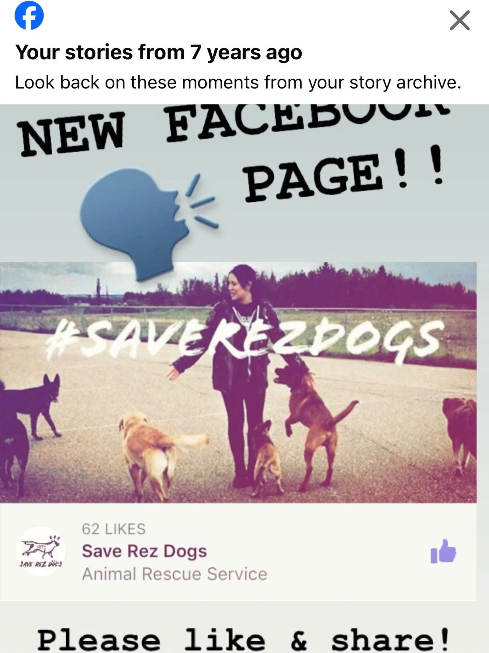 Happy 7 years Save Rez Dogs fam! 🥲🤎🫶🏽🐾 This was our first FB post. 🥰
This pack was my crew from 2017-2019!! Some of the best days of my life. The ones who inspired me to do the most. I&rsquo;ll always be grateful to these dogs. They changed my 