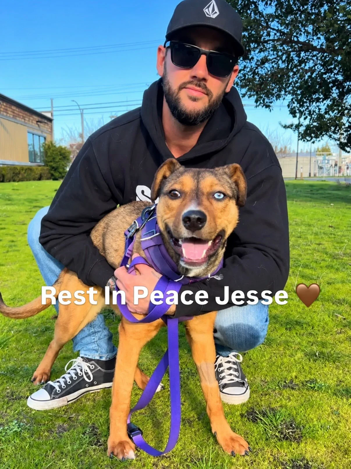 We are devastated to hear of the passing of our friend Jesse, the fearless founder of @raincoastdogrescue, who lost his life on the frontlines in Ukraine. 💔

Jesse and I were huge supporters of each other&rsquo;s work, and the dedication and compass