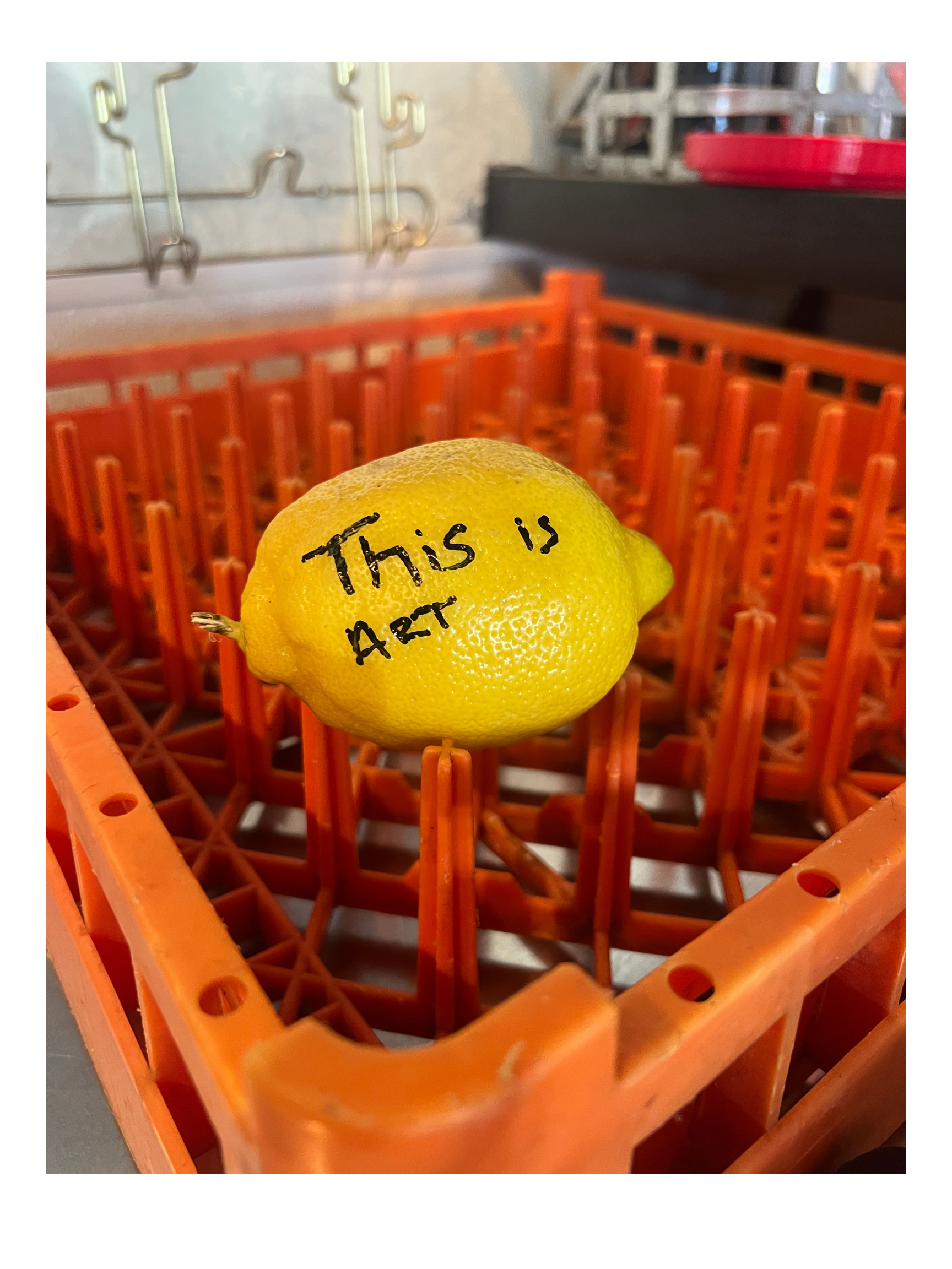 my romantic lemon rot (2).png