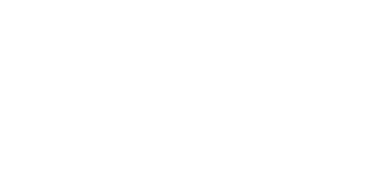 Rossignol-logo.png