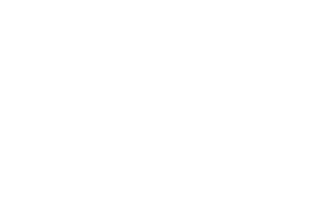 salomon-logo.png