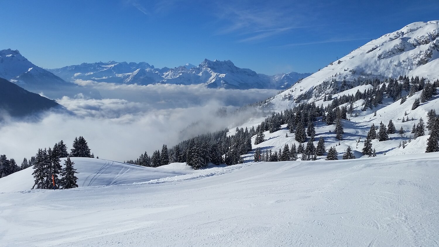 View of Dents du Midi.jpg