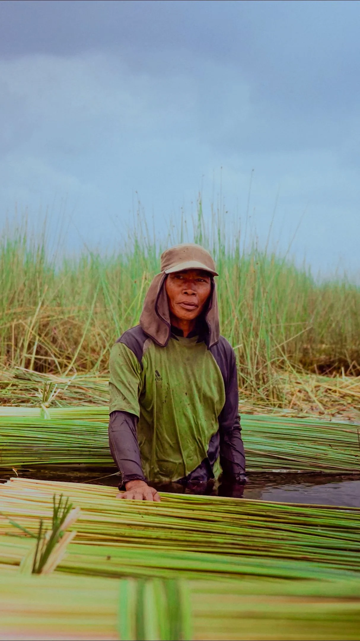 Lujan_Peatlands_Thumbnail03.jpg
