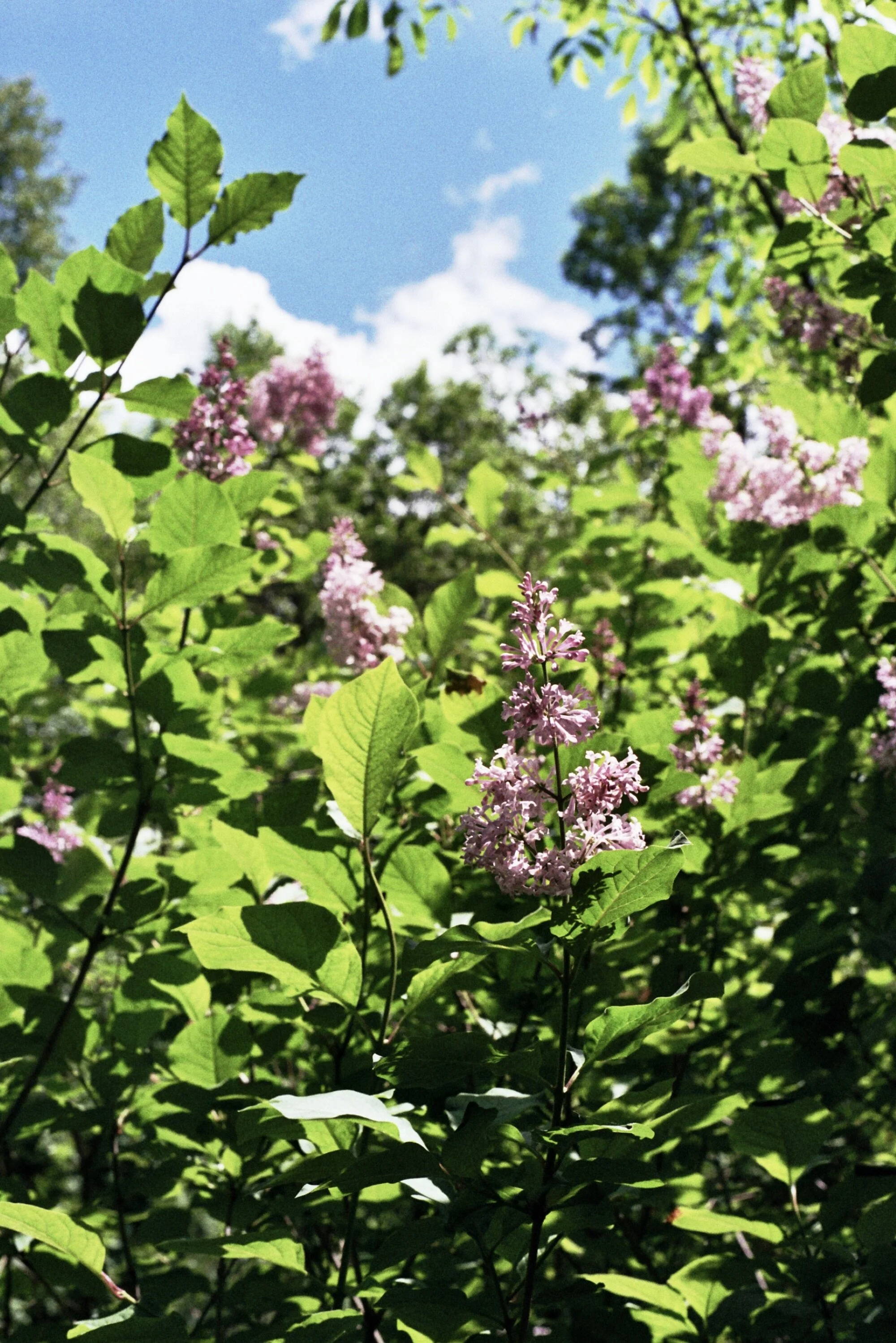 2EE266E1-D518-412A-9AAB-28B46B20F94E_1_201_a.jpeg