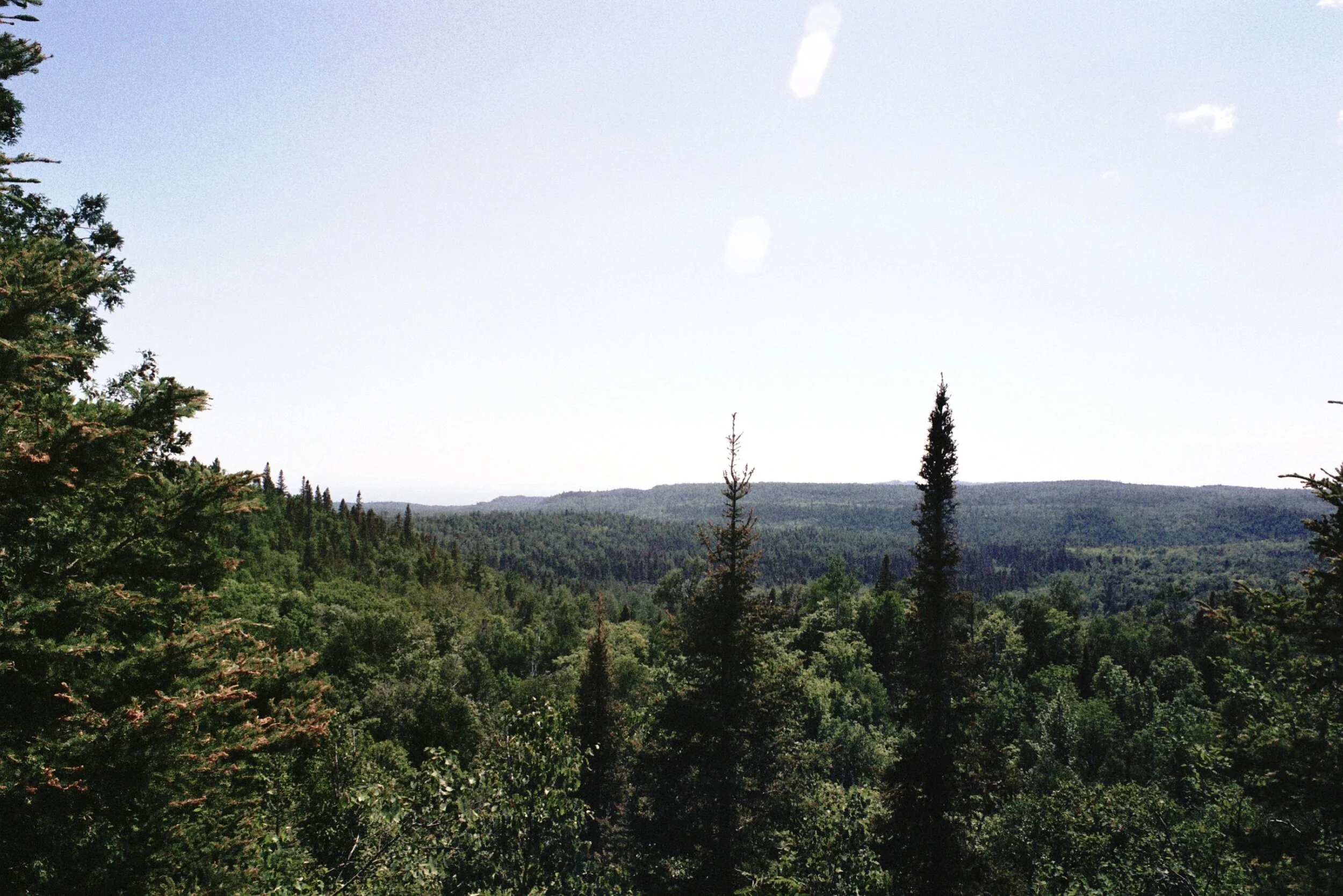 C2037FFF-8AD5-4EB2-8249-3943C36F649A_1_201_a.jpeg