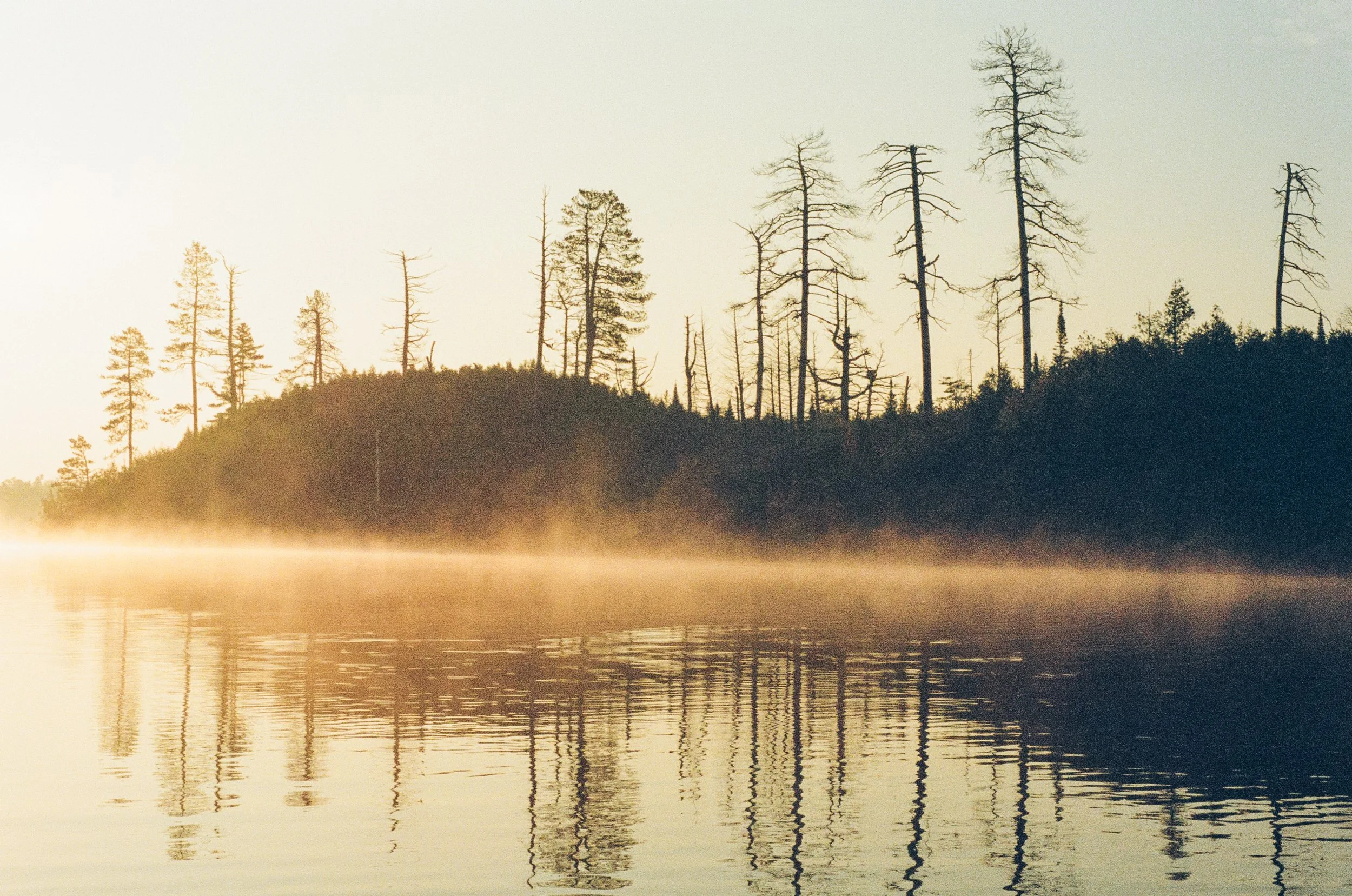 Bridget_Erickson_@bridgeteric_Landscape6.jpg