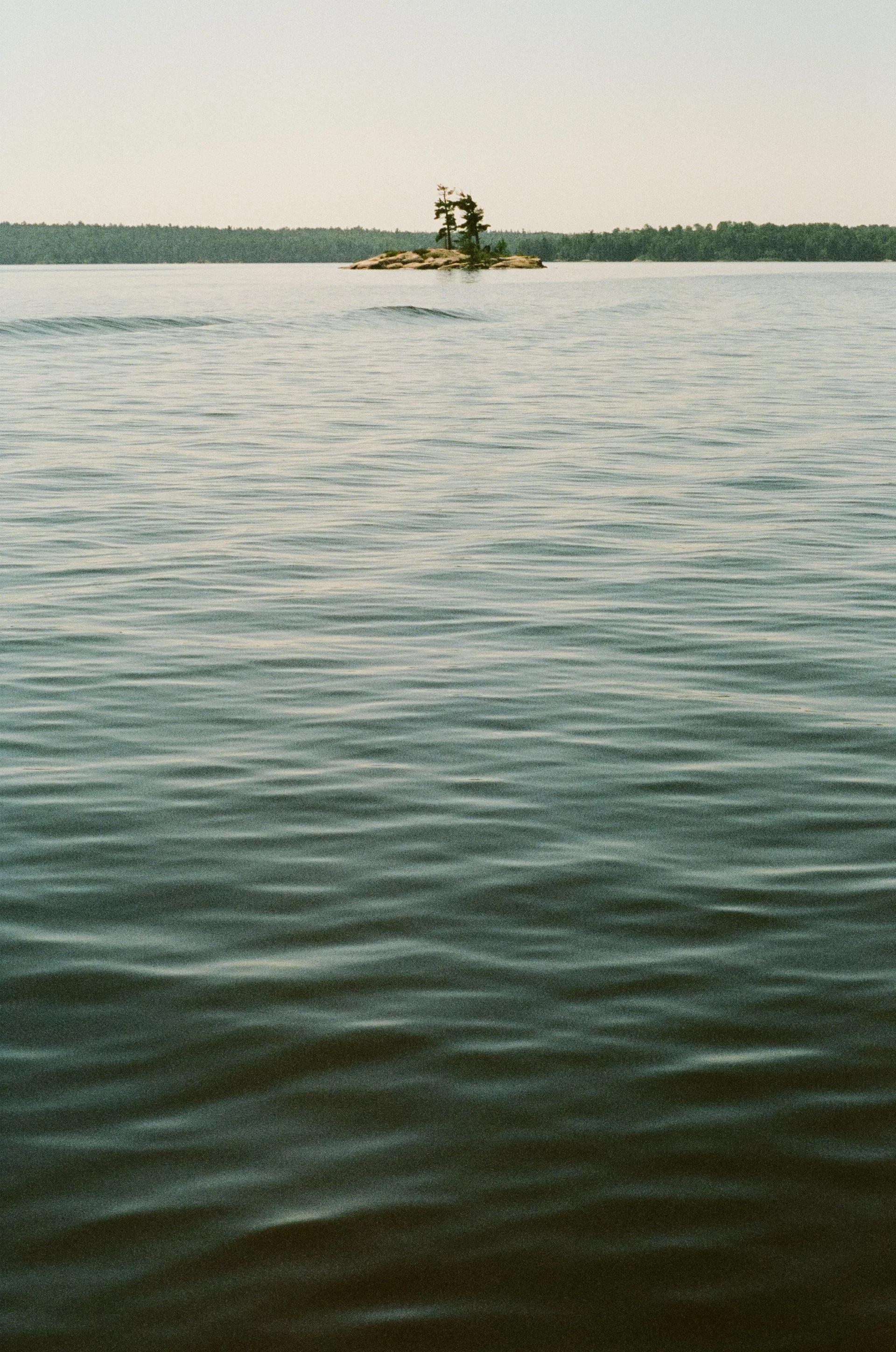 summerscans26-1.jpg