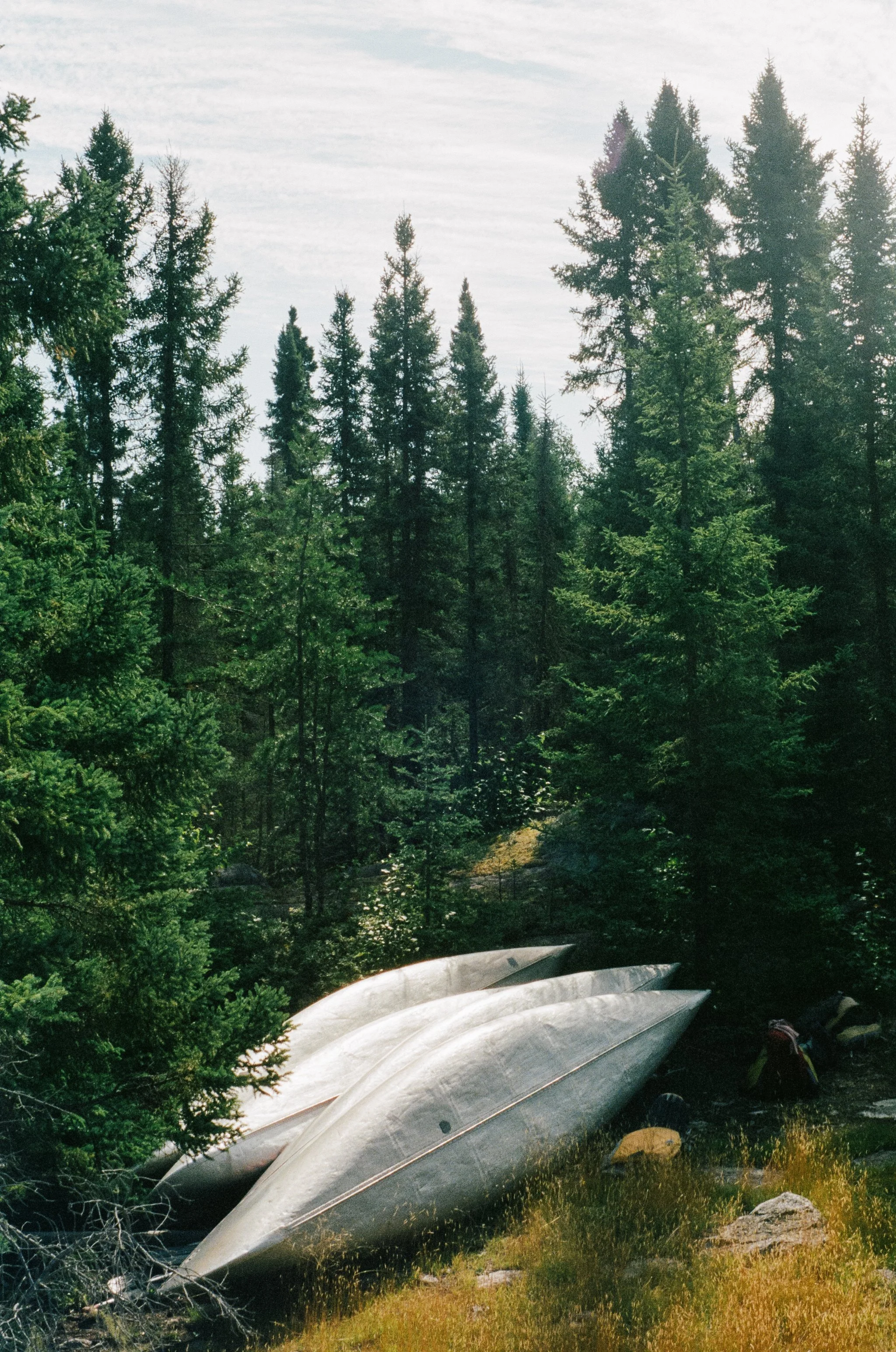 summerscans26-11.jpg