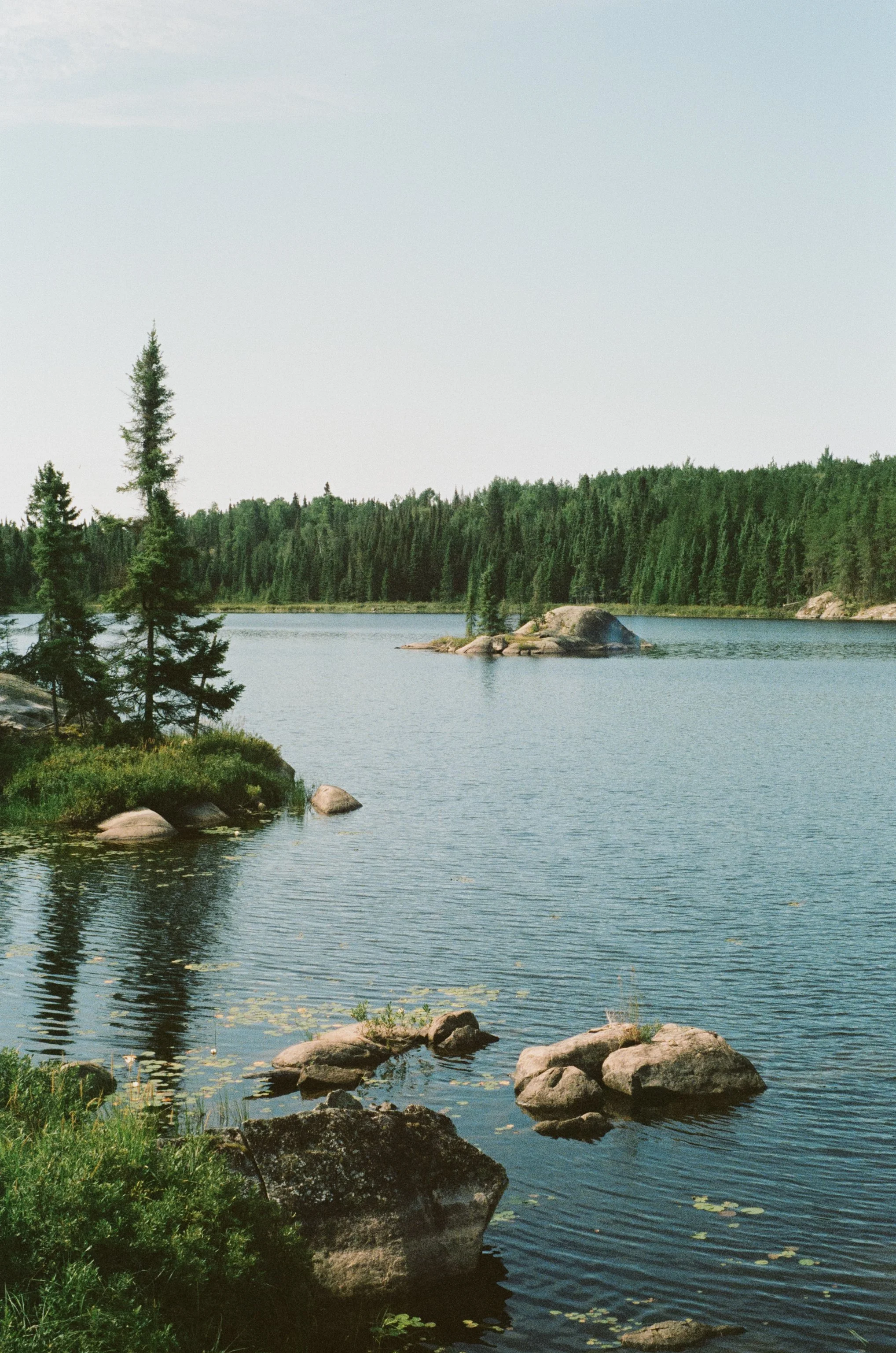 summerscans26-12.jpg