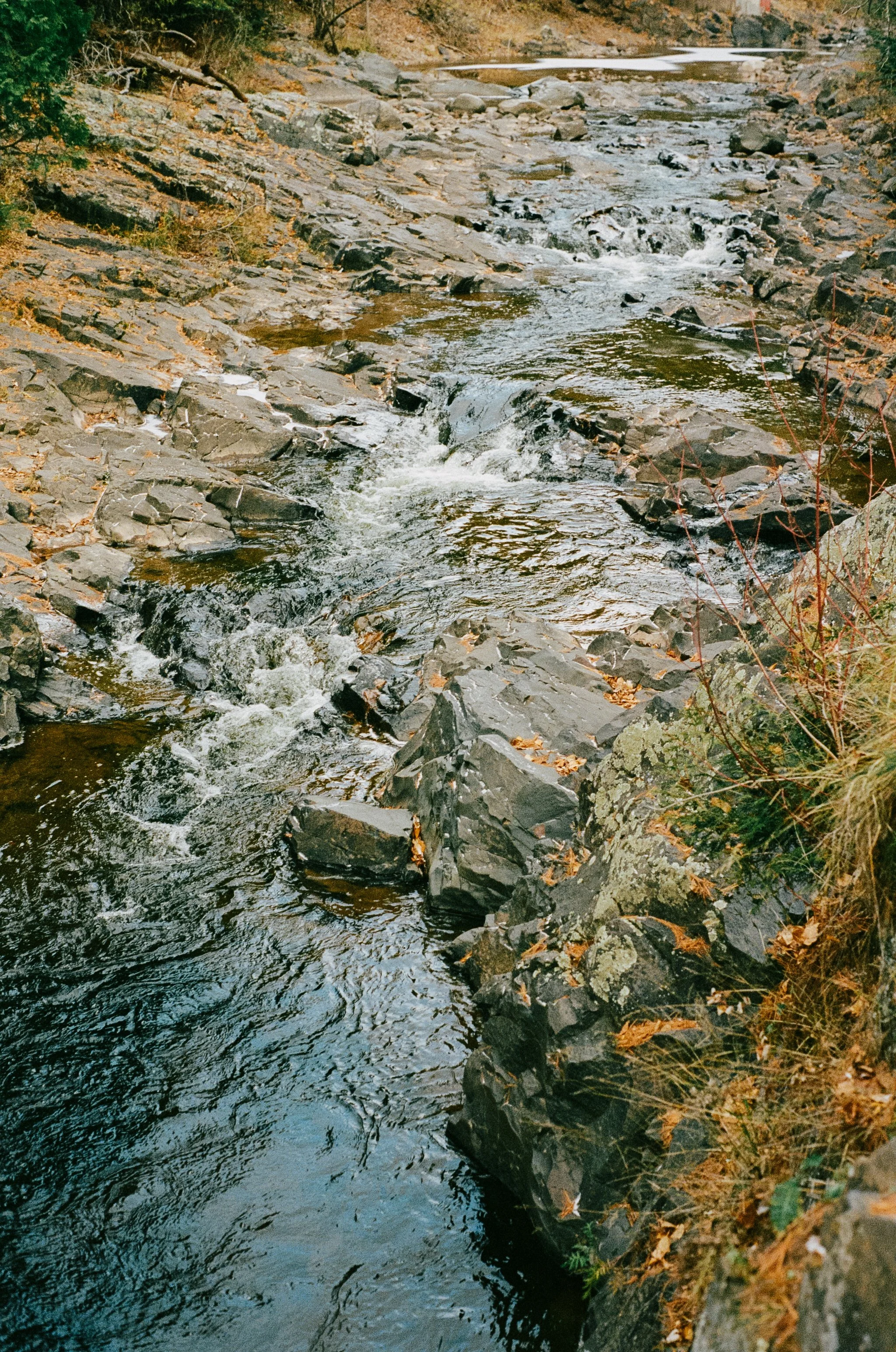 2184-19.JPG